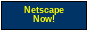 Netscape Now!
